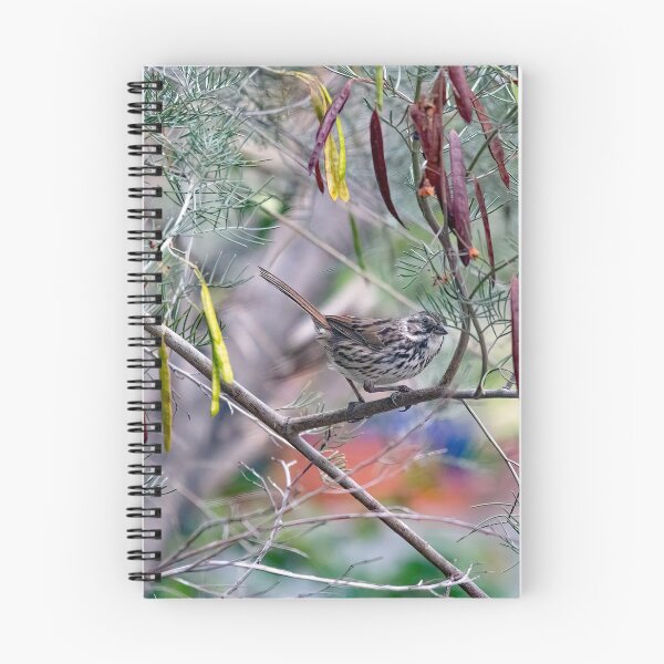Item preview, Song Sparrow in Tree with Colorful Seed Pods designed and sold by CarolM.