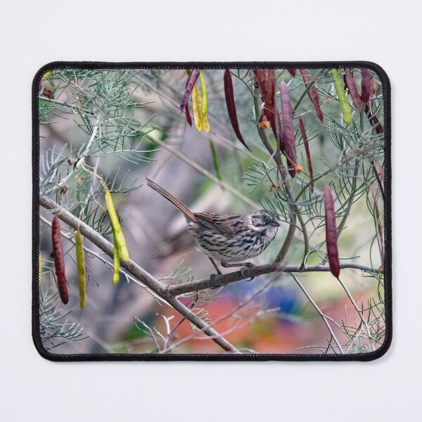 Item preview, Song Sparrow in Tree with Colorful Seed Pods designed and sold by CarolM.
