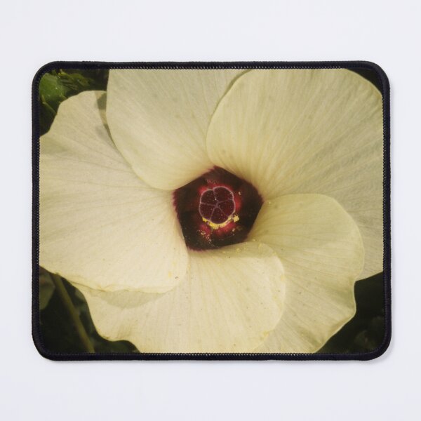Item preview, Okra Flower designed and sold by ROSE ANN BANILAR.