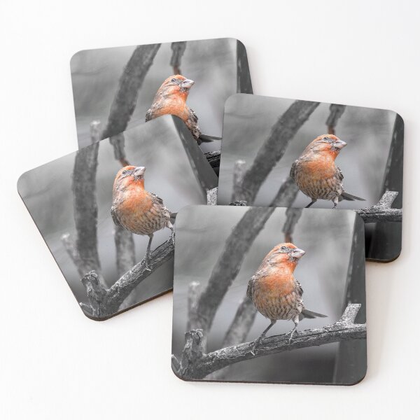 Item preview, House Finch (selective coloring) designed and sold by CarolM.