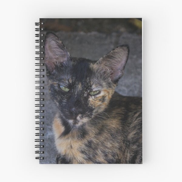 Item preview, Narrow-eyed Kitty designed and sold by ROSE ANN BANILAR.