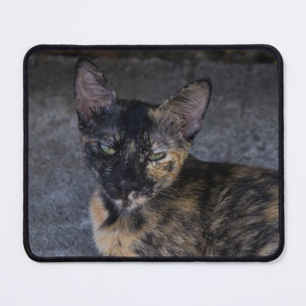 Item preview, Narrow-eyed Kitty designed and sold by ROSE ANN BANILAR.