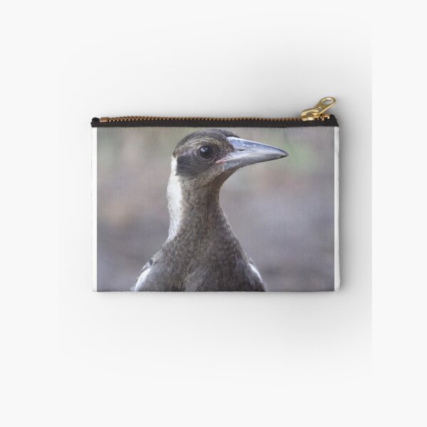 Item preview, Juvenile Australian Magpie Native Bird Portrait designed and sold by 27Tammy27.