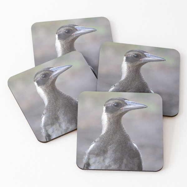 Item preview, Juvenile Australian Magpie Native Bird Portrait designed and sold by 27Tammy27.