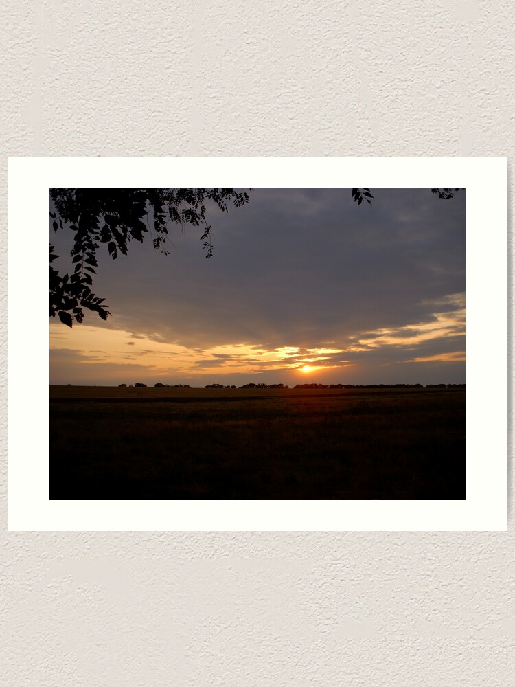 Thumbnail 1 of 3, Art Print, under the shelter designed and sold by Anthropolog.