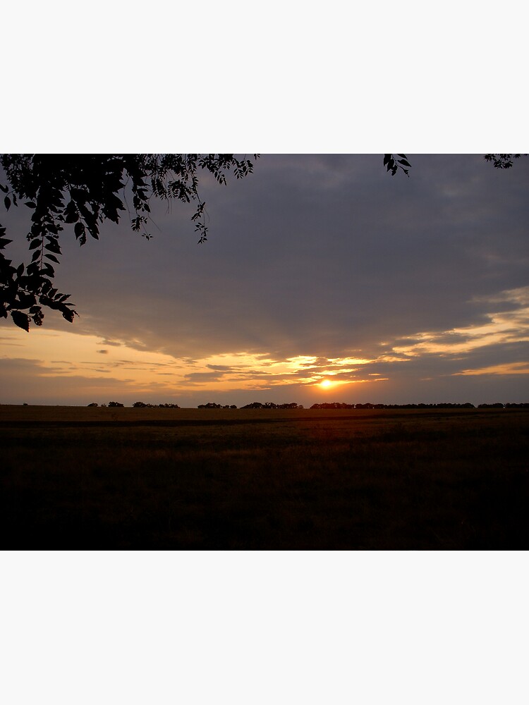 Thumbnail 3 of 3, Photographic Print, under the shelter designed and sold by Anthropolog.