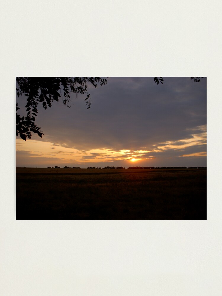 Thumbnail 1 of 3, Photographic Print, under the shelter designed and sold by Anthropolog.