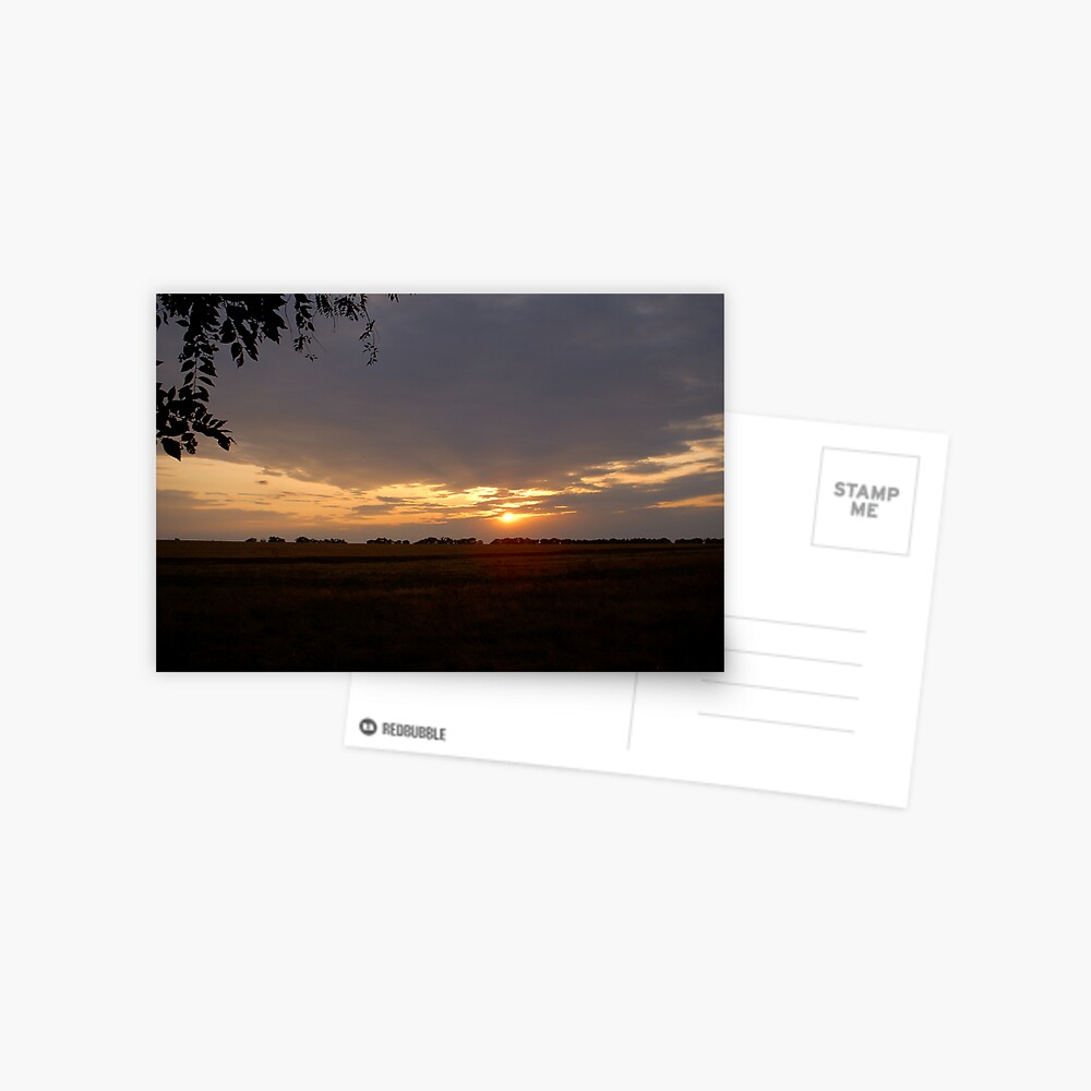 Item preview, Postcard designed and sold by Anthropolog.