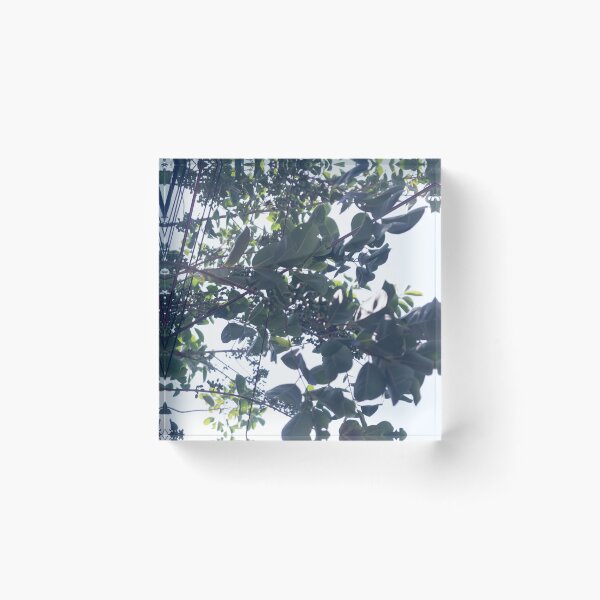 Item preview, Glossy Privet designed and sold by ROSE ANN BANILAR.