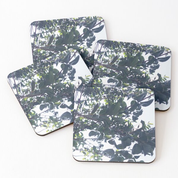 Item preview, Glossy Privet designed and sold by ROSE ANN BANILAR.