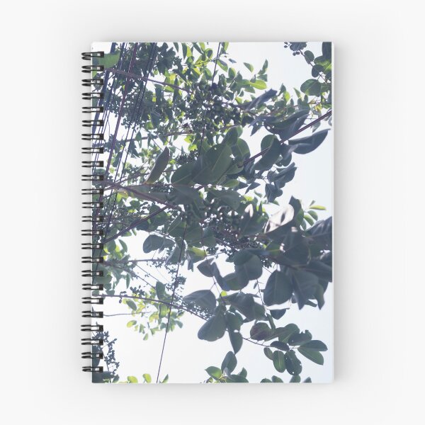 Item preview, Glossy Privet designed and sold by ROSE ANN BANILAR.