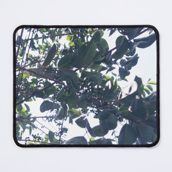Item preview, Glossy Privet designed and sold by ROSE ANN BANILAR.