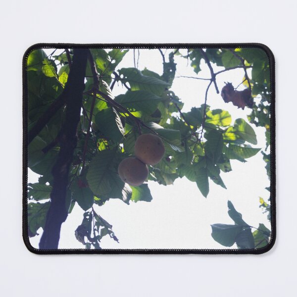 Item preview, Santol designed and sold by ROSE ANN BANILAR.