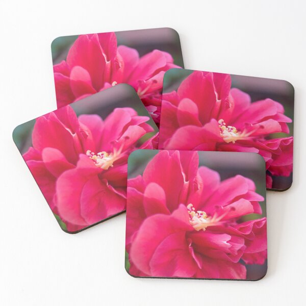 Item preview, double-petaled hibiscus designed and sold by ROSE ANN BANILAR.