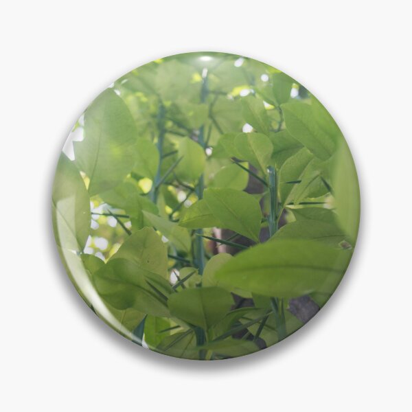 Item preview, Philippine lime designed and sold by ROSE ANN BANILAR.