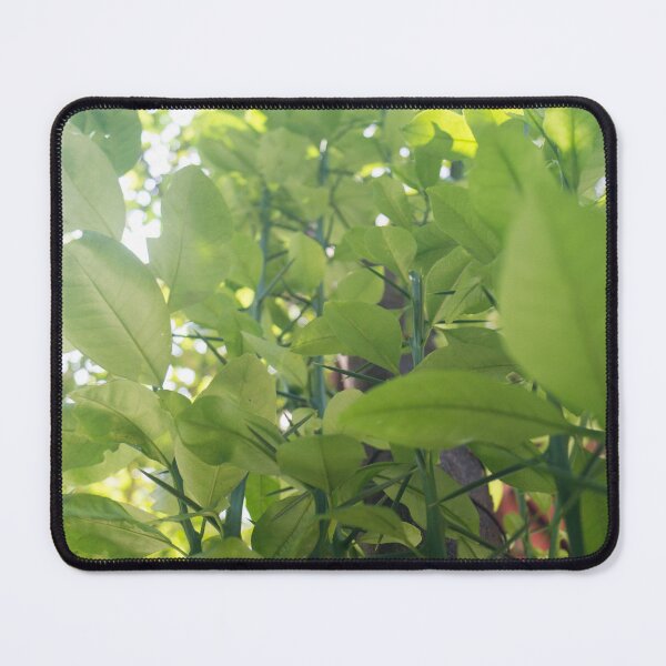 Item preview, Philippine lime designed and sold by ROSE ANN BANILAR.