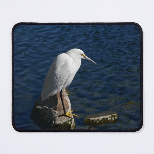 Item preview, Pure White Snowy Egret on Deep Blue Water designed and sold by sky earth human.