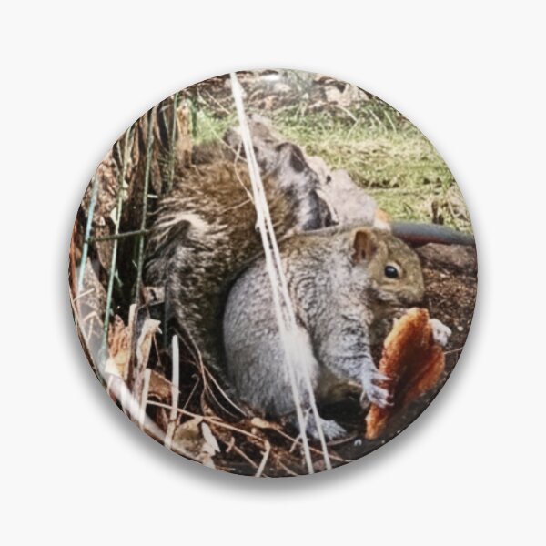 Item preview, The Bread Winner - Squirrel Wildlife Photography designed and sold by LittleHandsBigWorld.