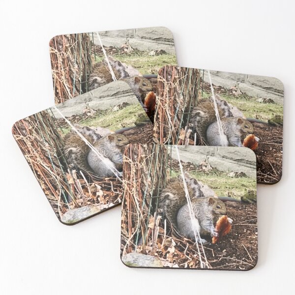 Item preview, The Bread Winner - Squirrel Wildlife Photography designed and sold by LittleHandsBigWorld.