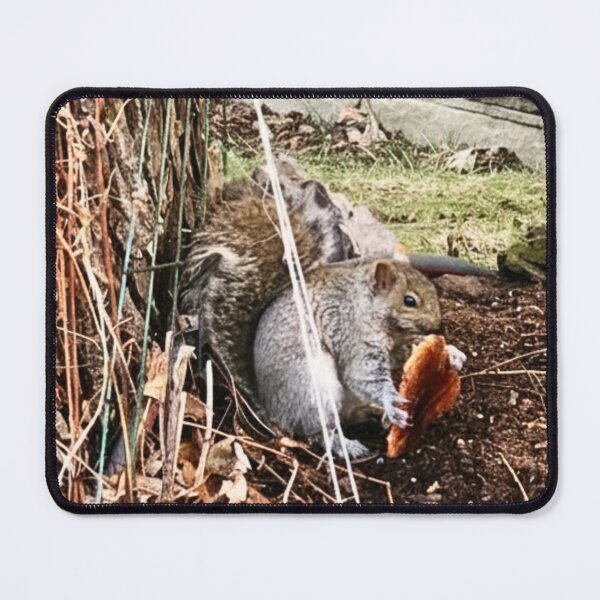 Item preview, The Bread Winner - Squirrel Wildlife Photography designed and sold by LittleHandsBigWorld.
