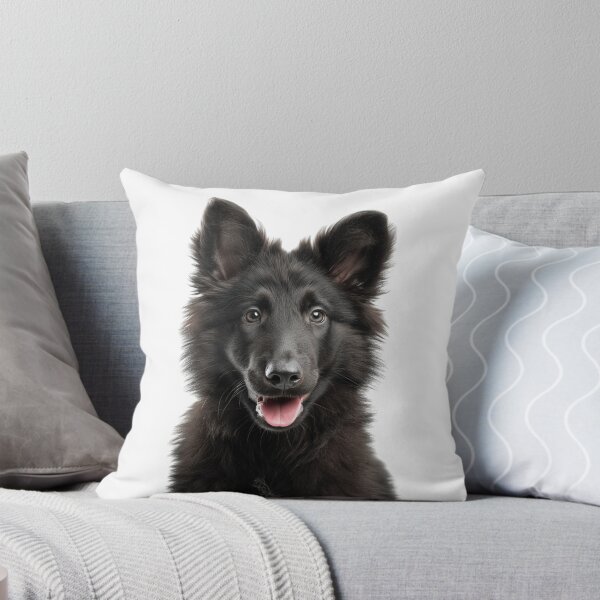 Item preview, Adorable Belgian Sheepdog Puppy for Cute Groenendael puppy lovers designed and sold by LazyOwlStore.