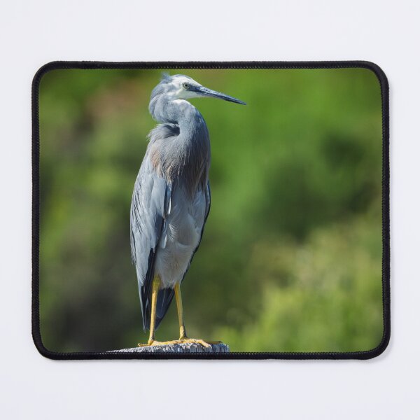 Item preview, Heron on the Stump at Wilson Inlet designed and sold by Jan Fijolek.