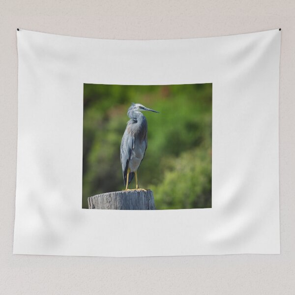 Item preview, Heron on the Stump at Wilson Inlet designed and sold by Jan Fijolek.