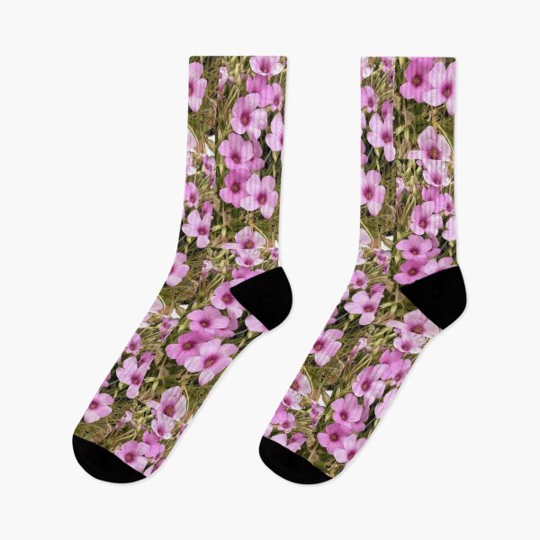 Item preview, Vibrant Pink Oxalis Blossoms Isolated on White designed and sold by BalkanBloom.