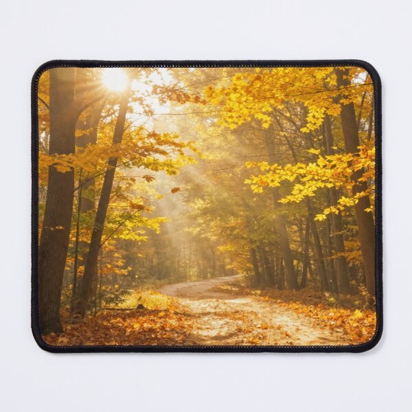Item preview, Spring awakening or autumn in the peaceful, lonely forest designed and sold by Kimenta.