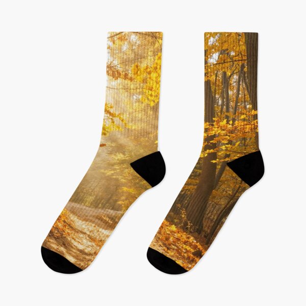 Item preview, Spring awakening or autumn in the peaceful, lonely forest designed and sold by Kimenta.
