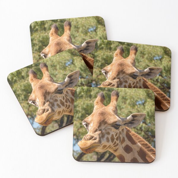 Item preview, Giraffe at Taronga Western Plains Zoo | Elegant African Wildlife, Dubbo, NSW, Australia Art designed and sold by Ross.A.Campbell.