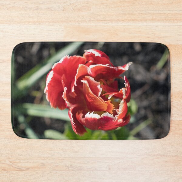 Item preview, Scarlet and White Parrot Tulip Rimmed with Dewdrops designed and sold by Georgia Mizuleva.