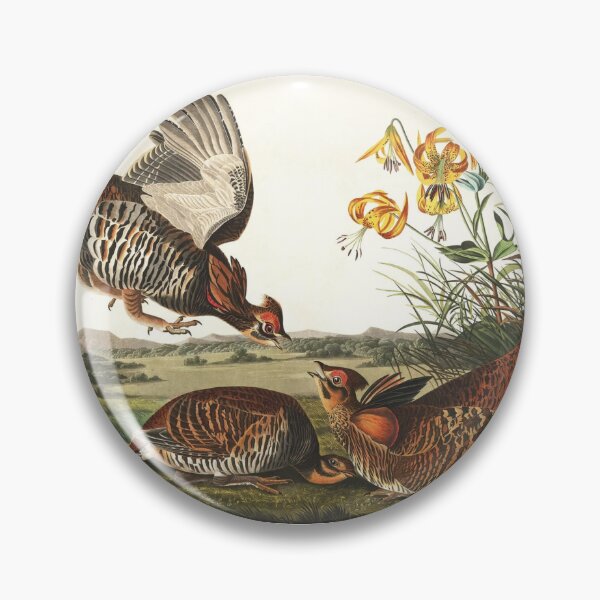 Item preview, Pinnated Grouse designed and sold by KuduKuat-685.