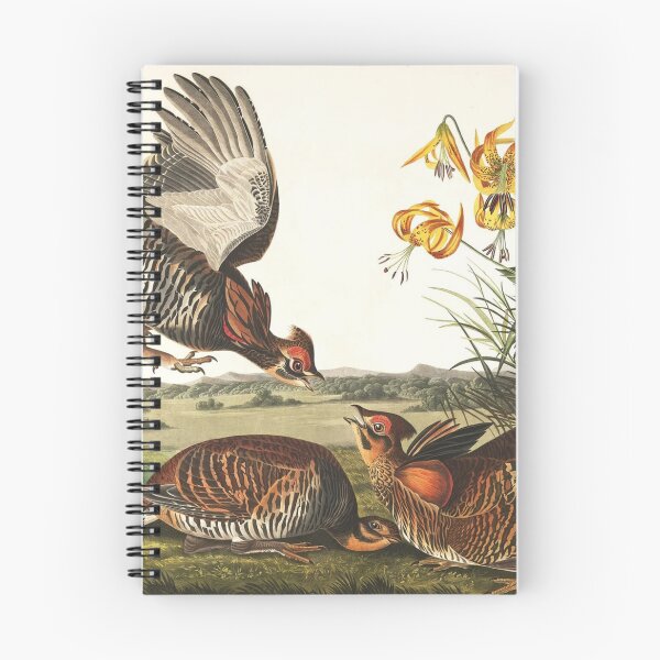 Item preview, Pinnated Grouse designed and sold by KuduKuat-685.