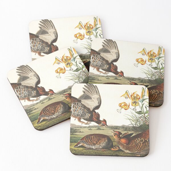 Item preview, Pinnated Grouse designed and sold by KuduKuat-685.