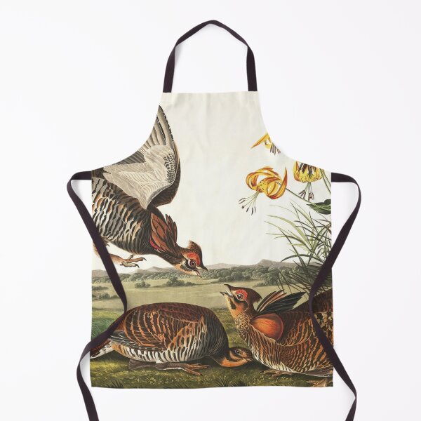 Item preview, Pinnated Grouse designed and sold by KuduKuat-685.