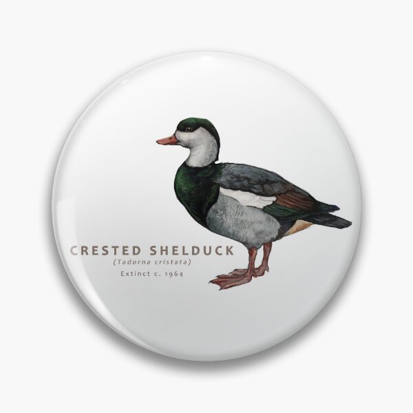 Item preview, Crested Shelduck designed and sold by Haliaeetus.