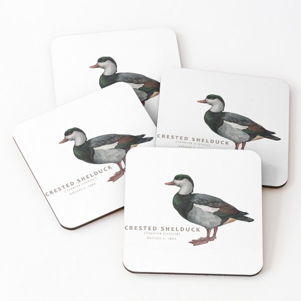 Item preview, Crested Shelduck designed and sold by Haliaeetus.