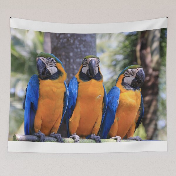 Item preview, Three Amigos designed and sold by FranWest.