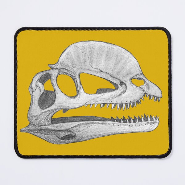 Item preview, Dilophosaurus skull designed and sold by DoodleSnake58.