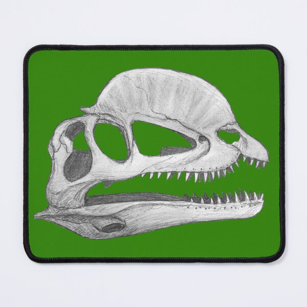 Item preview, Dilophosaurus skull designed and sold by DoodleSnake58.
