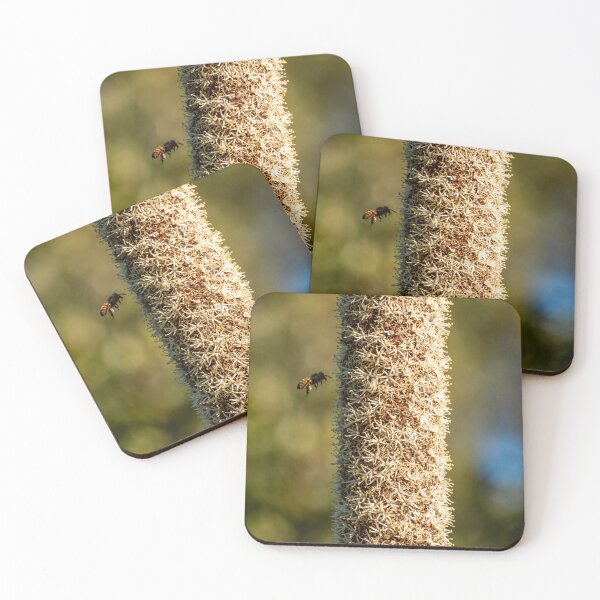 Item preview, Grasstree Flower Spike | Structural Xanthorrhoea Australis - Native Australian Wildflower Art designed and sold by Ross.A.Campbell.