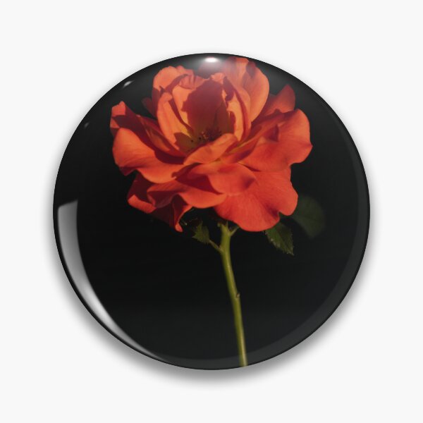 Item preview, Resilience - Rose Growing From Concrete designed and sold by alicjamiekina.