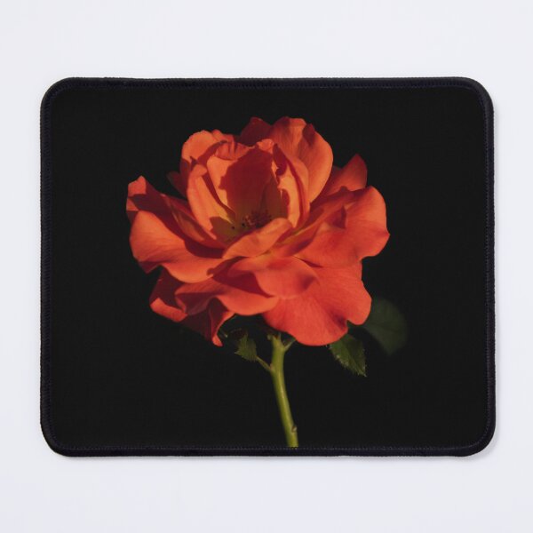 Item preview, Resilience - Rose Growing From Concrete designed and sold by alicjamiekina.