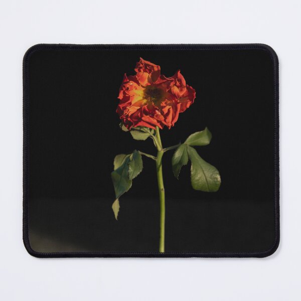 Item preview, Fading Resilience - Withered Rose in Concrete designed and sold by alicjamiekina.