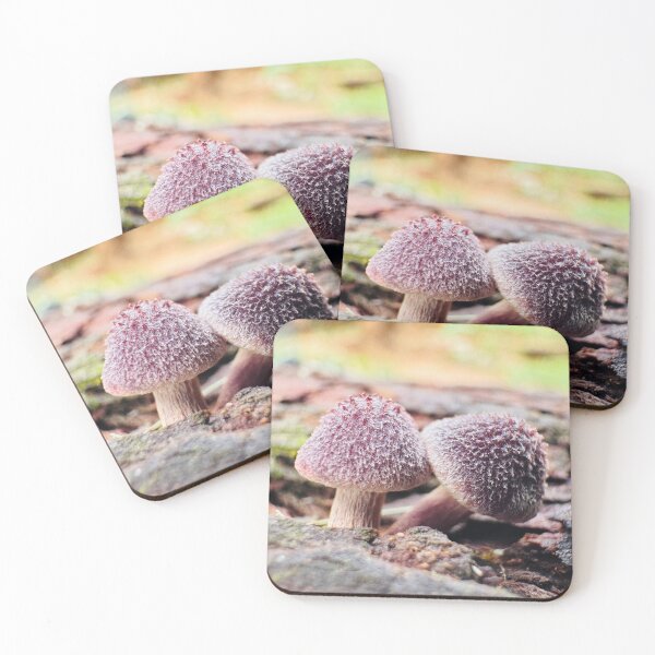 Item preview, Fungi of the Forest Floor designed and sold by Swim The Tropics.