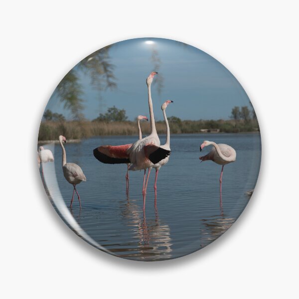 Item preview, Pink flamingo designed and sold by machaphoto.