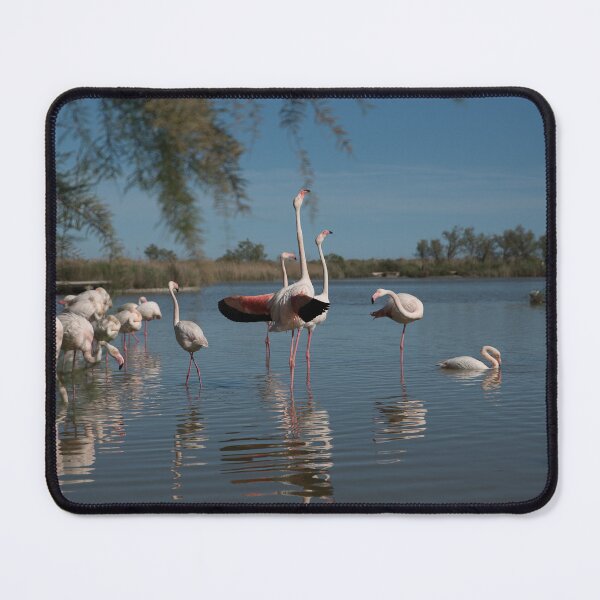 Item preview, Pink flamingo designed and sold by machaphoto.