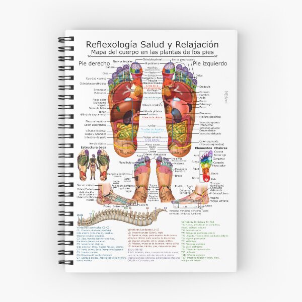 Item preview, Reflexología - Mapa del cuerpo en las plantas de los pies designed and sold by OrlyLaWizard.