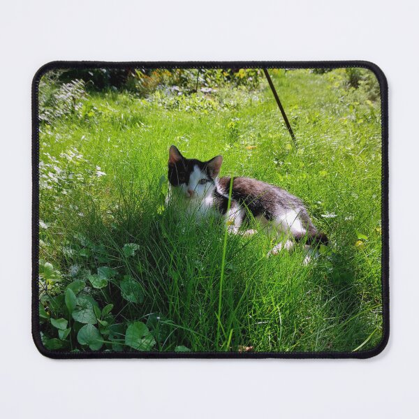 Item preview, Cat in the grass designed and sold by Gourmetkater.